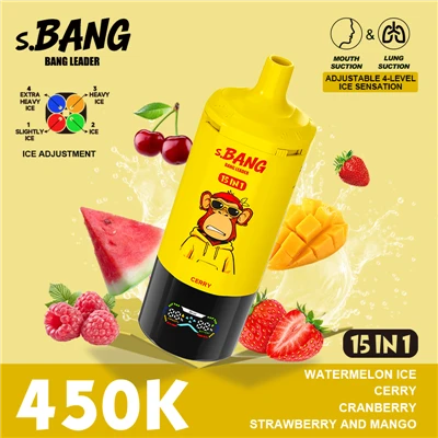 BANG LIDER 450K Puffs Vape
